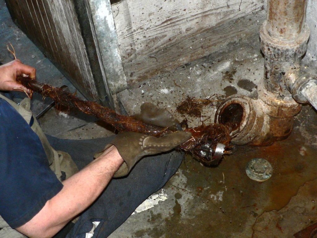 Contact Us-Corpus Christi TX Septic Tank Pumping, Installation, & Repairs-We offer Septic Service & Repairs, Septic Tank Installations, Septic Tank Cleaning, Commercial, Septic System, Drain Cleaning, Line Snaking, Portable Toilet, Grease Trap Pumping & Cleaning, Septic Tank Pumping, Sewage Pump, Sewer Line Repair, Septic Tank Replacement, Septic Maintenance, Sewer Line Replacement, Porta Potty Rentals, and more.